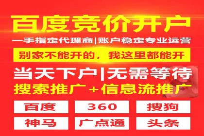 SEM推广在本地化服务中的应用案例